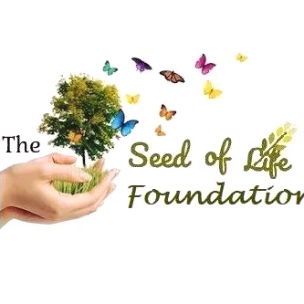 Seed of Life